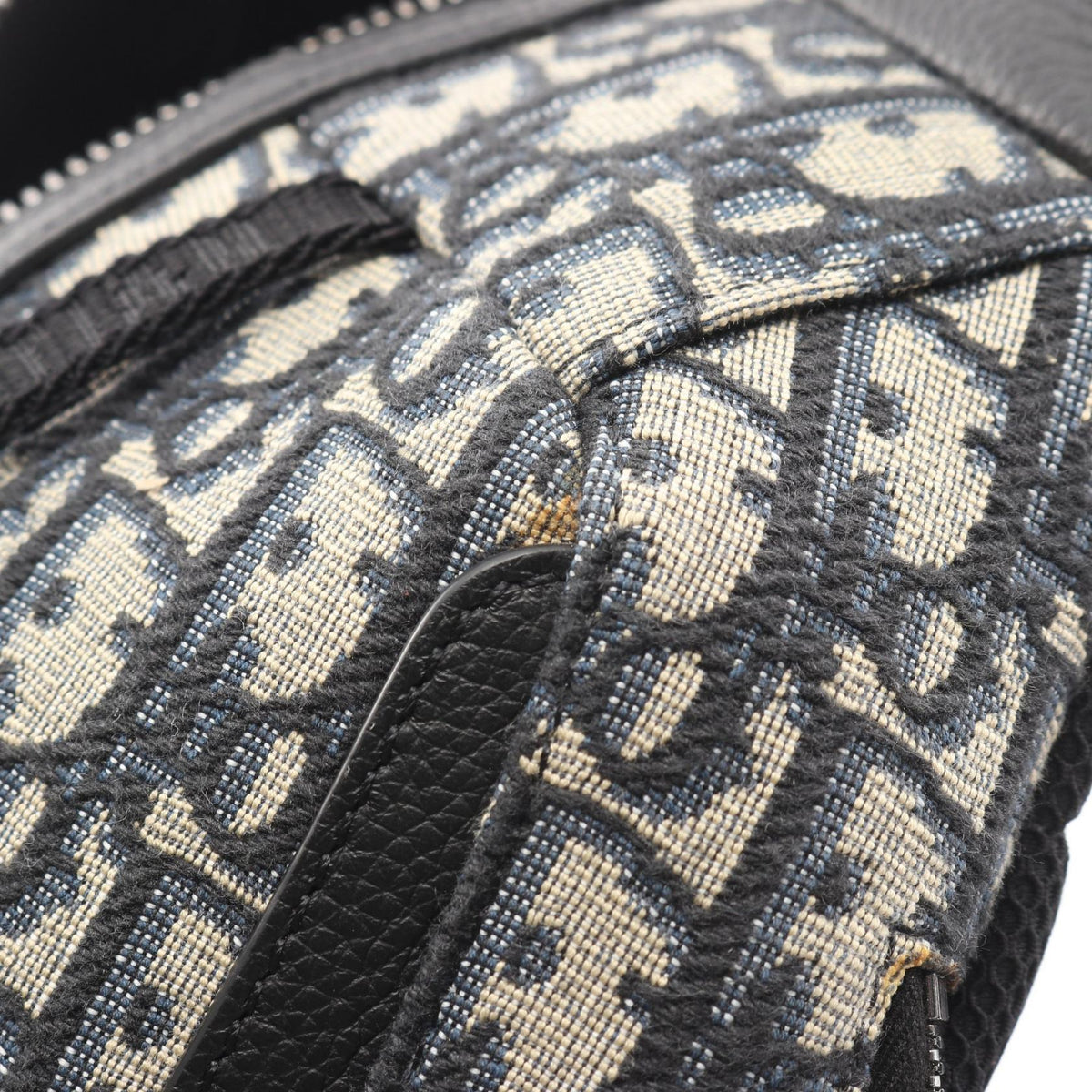 Dior Scarab · Oblique Canvas · Belt Bag
