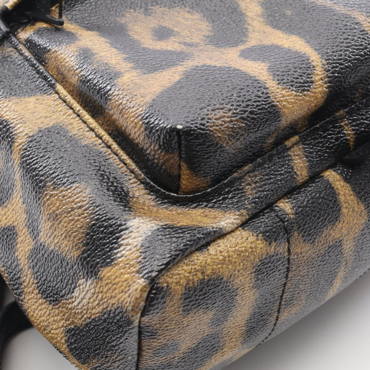 Louis Vuitton Palm Springs PM · Leopard