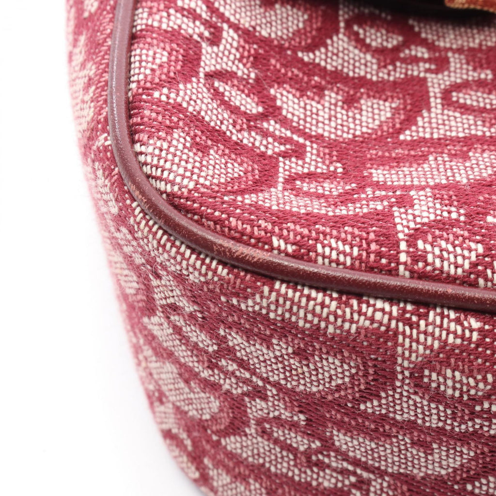 Dior Trotter · Messenger · Canvas Leather