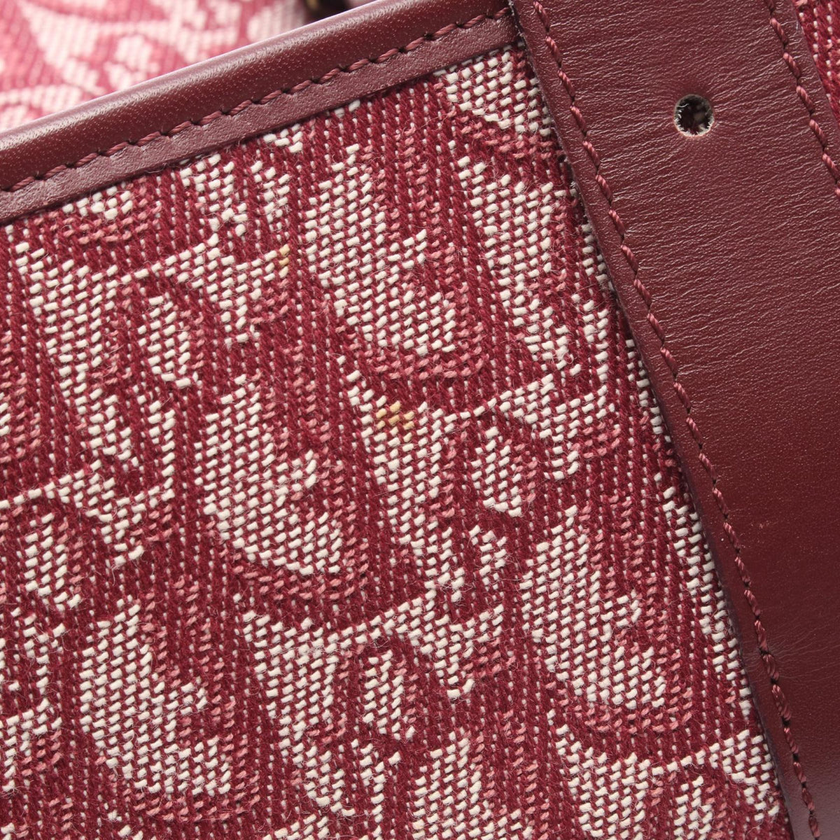 Dior Trotter · Messenger · Canvas Leather