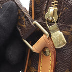 Louis Vuitton Amazon · Monogram Canvas