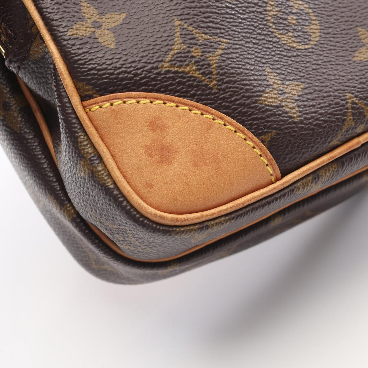 Louis Vuitton Amazon · Monogram Canvas