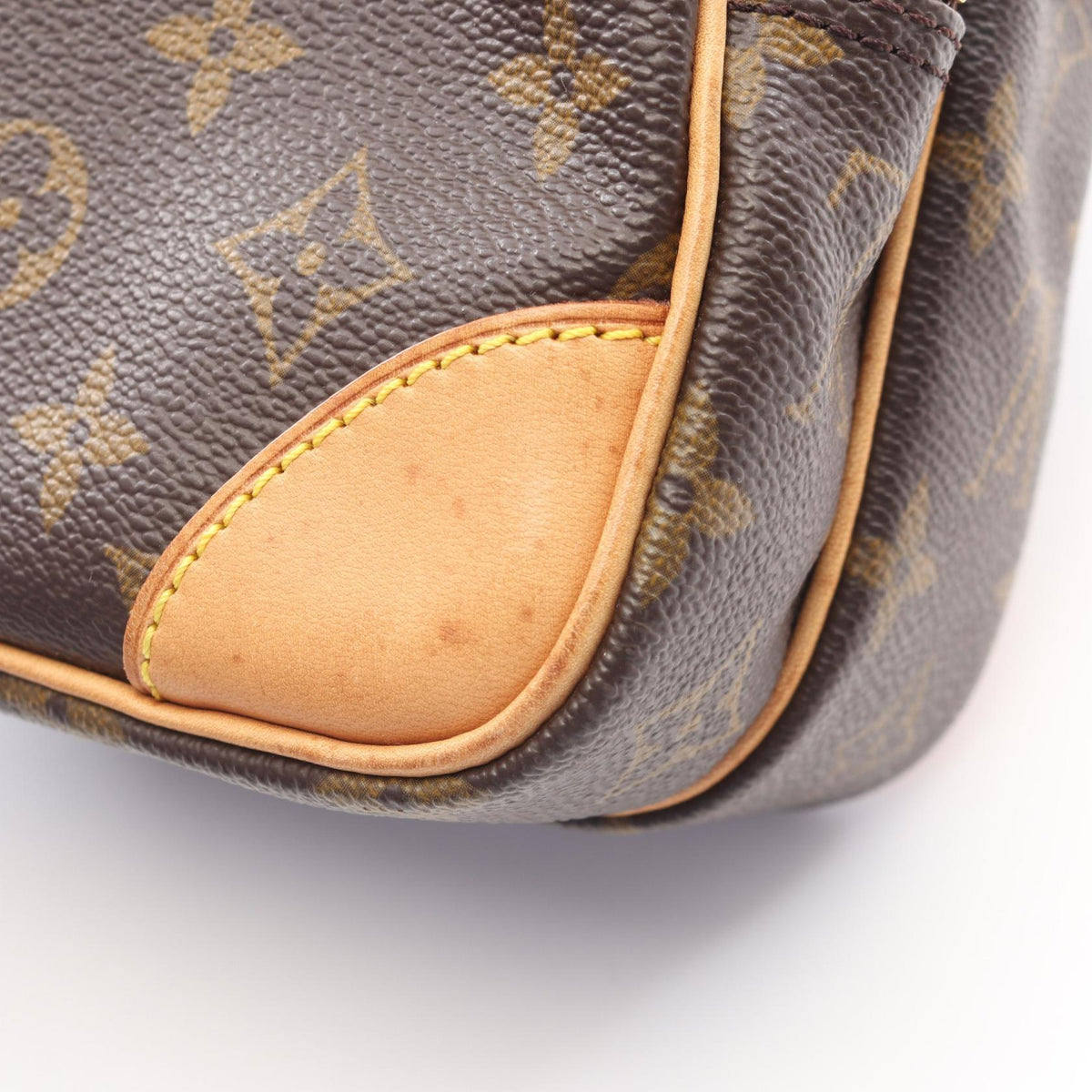Louis Vuitton Amazon · Monogram Canvas