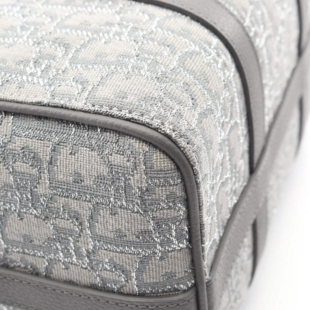 Dior Lingot 26 · Oblique Canvas