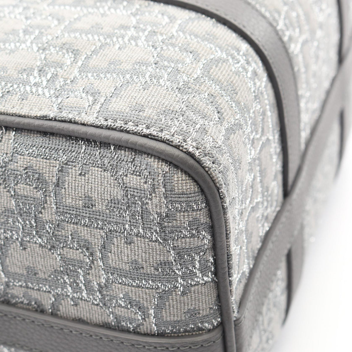 Dior Lingot 26 · Oblique Canvas