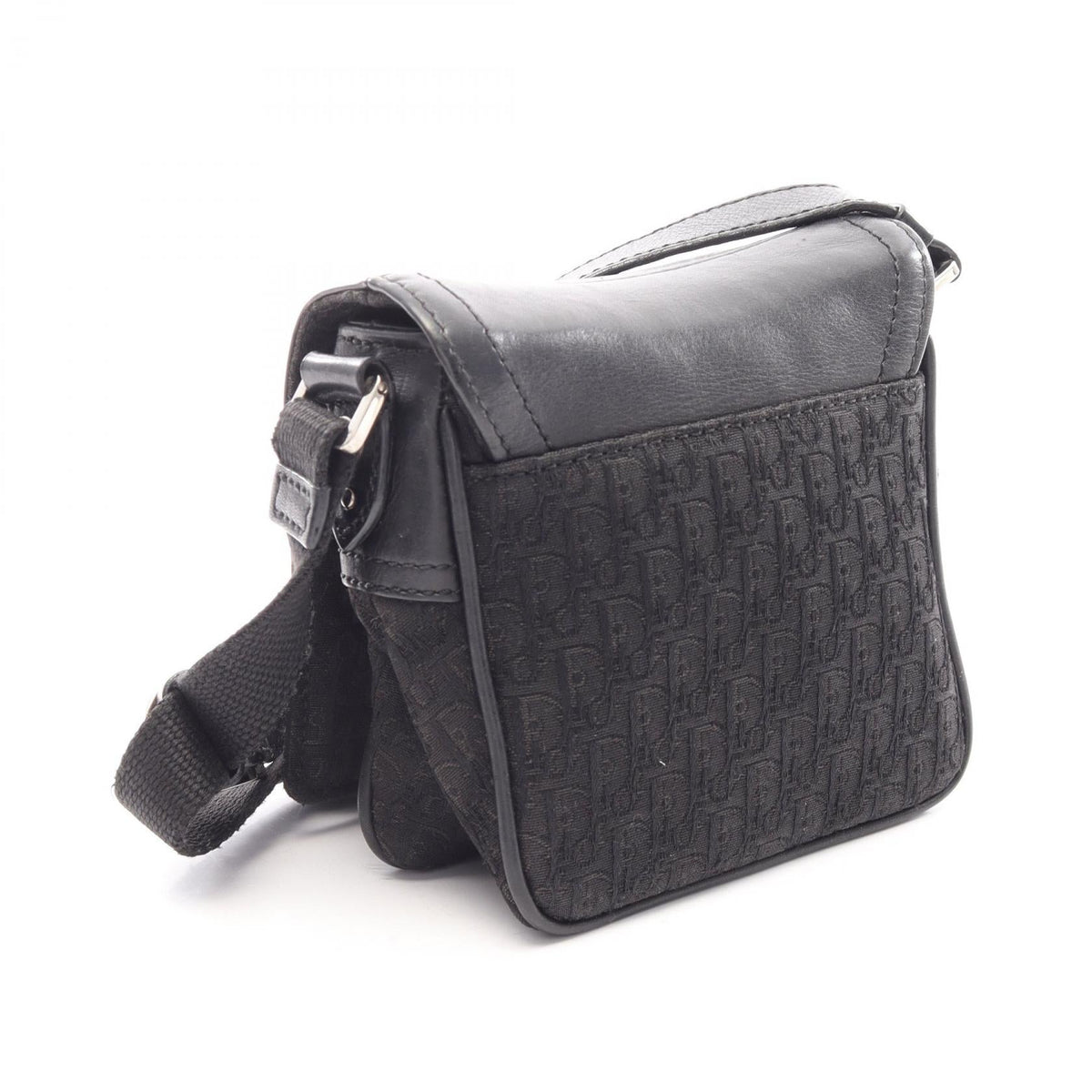 Dior Street Chic Trotter · Canvas Leather