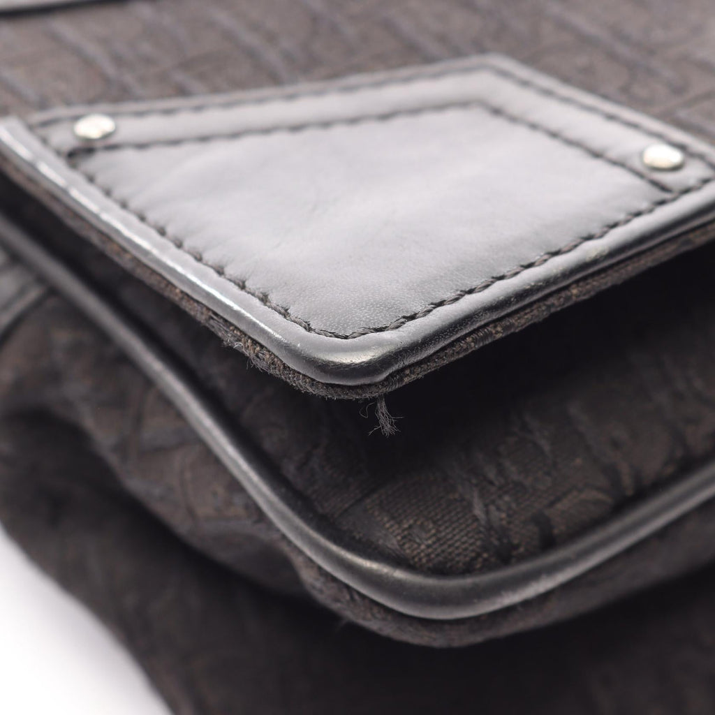 Dior Street Chic Trotter · Canvas Leather