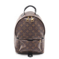 Louis Vuitton Palm Springs · Monogram