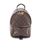 Louis Vuitton Palm Springs · Monogram