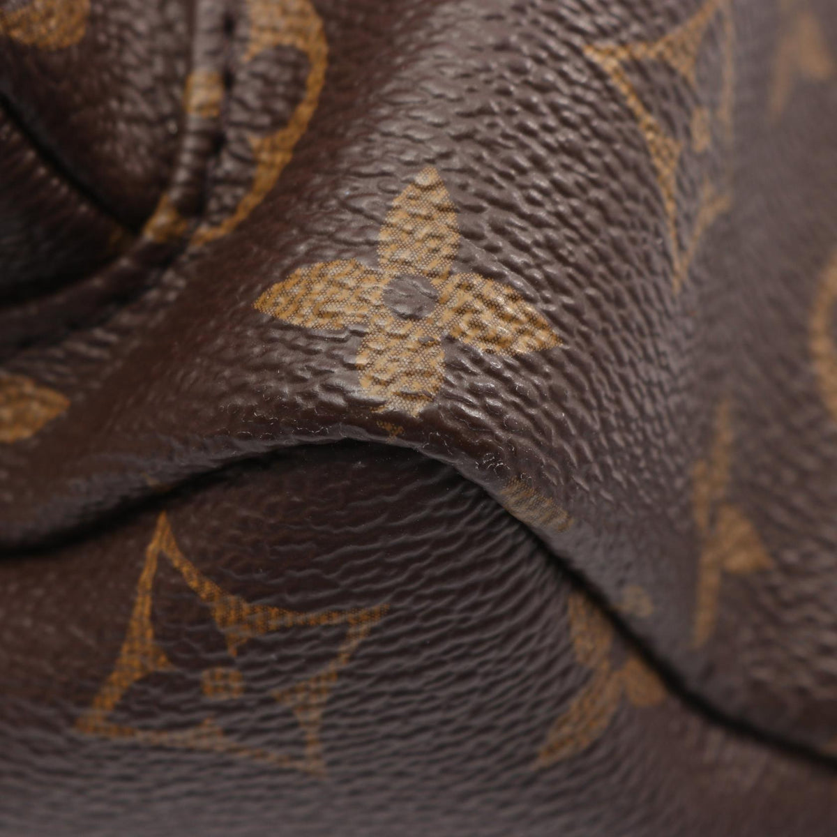 Louis Vuitton Palm Springs · Monogram