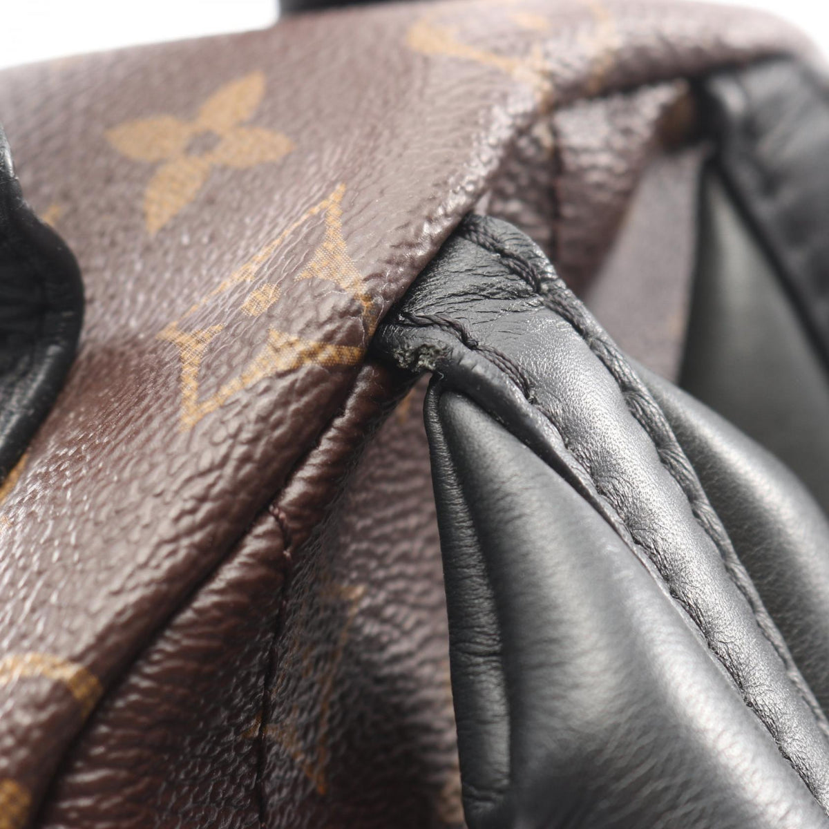 Louis Vuitton Palm Springs · Monogram