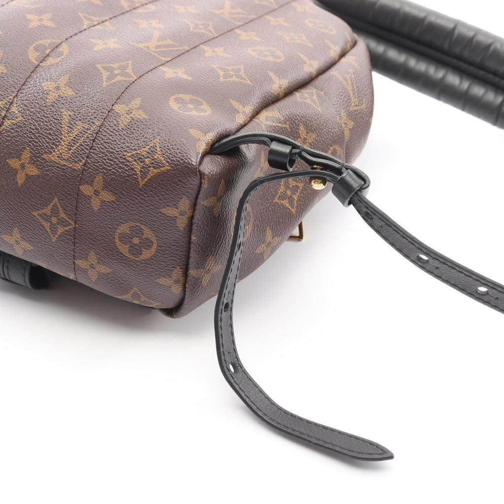 Louis Vuitton Palm Springs · Monogram