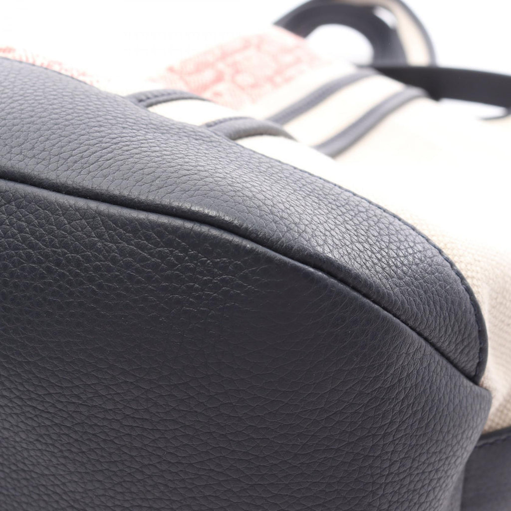 Dior Oblique Voyage · Canvas Tote