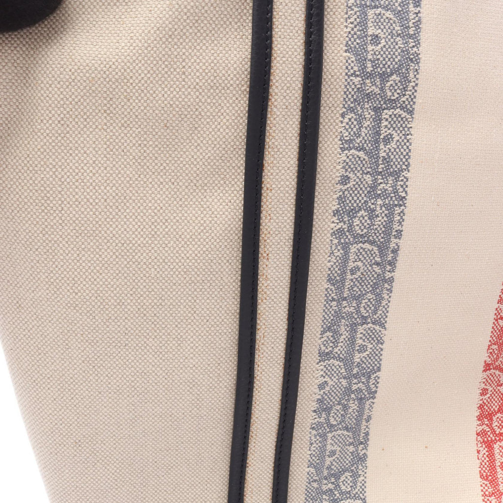 Dior Oblique Voyage · Canvas Tote