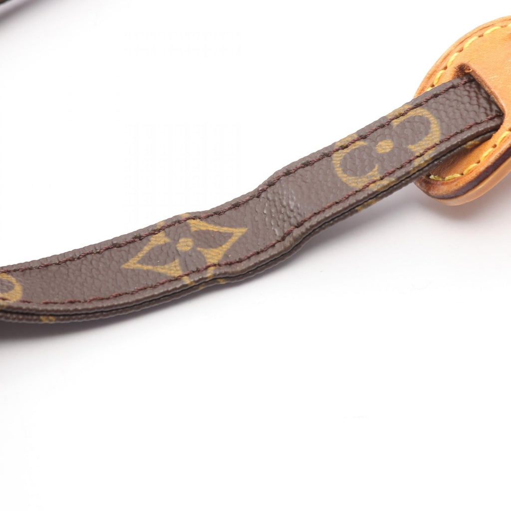 Louis Vuitton Danube · Monogram Canvas