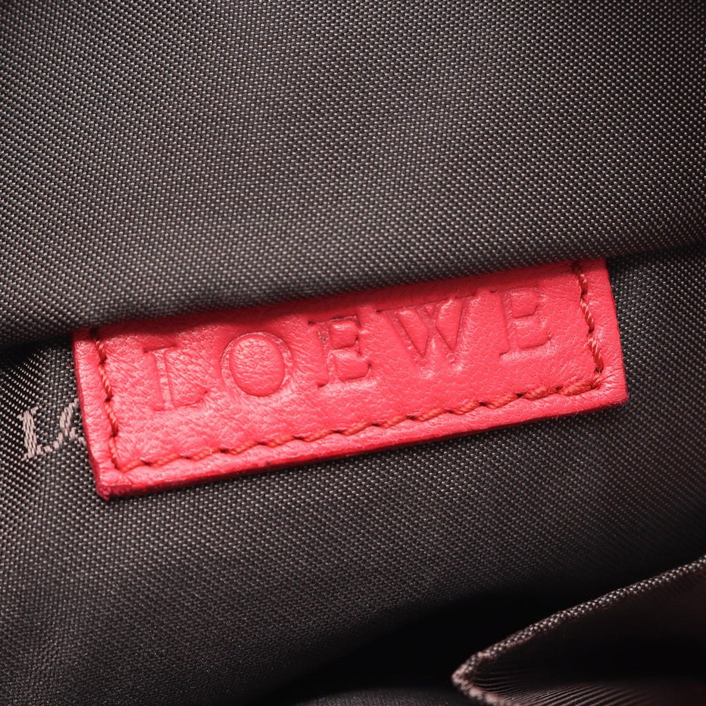 Loewe Nappa Aire · Leather Handbag