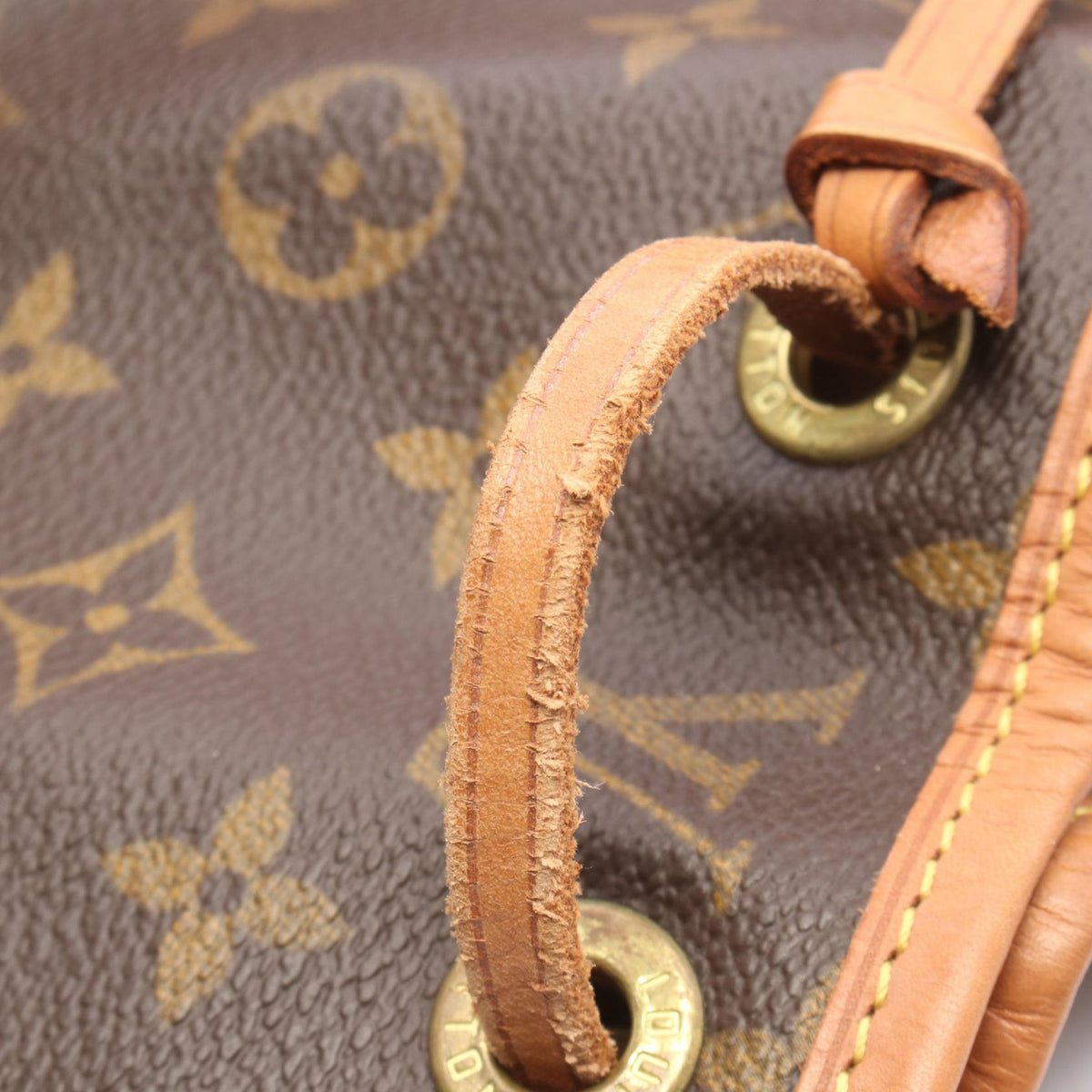 Louis Vuitton Montsouris MM · Monogram