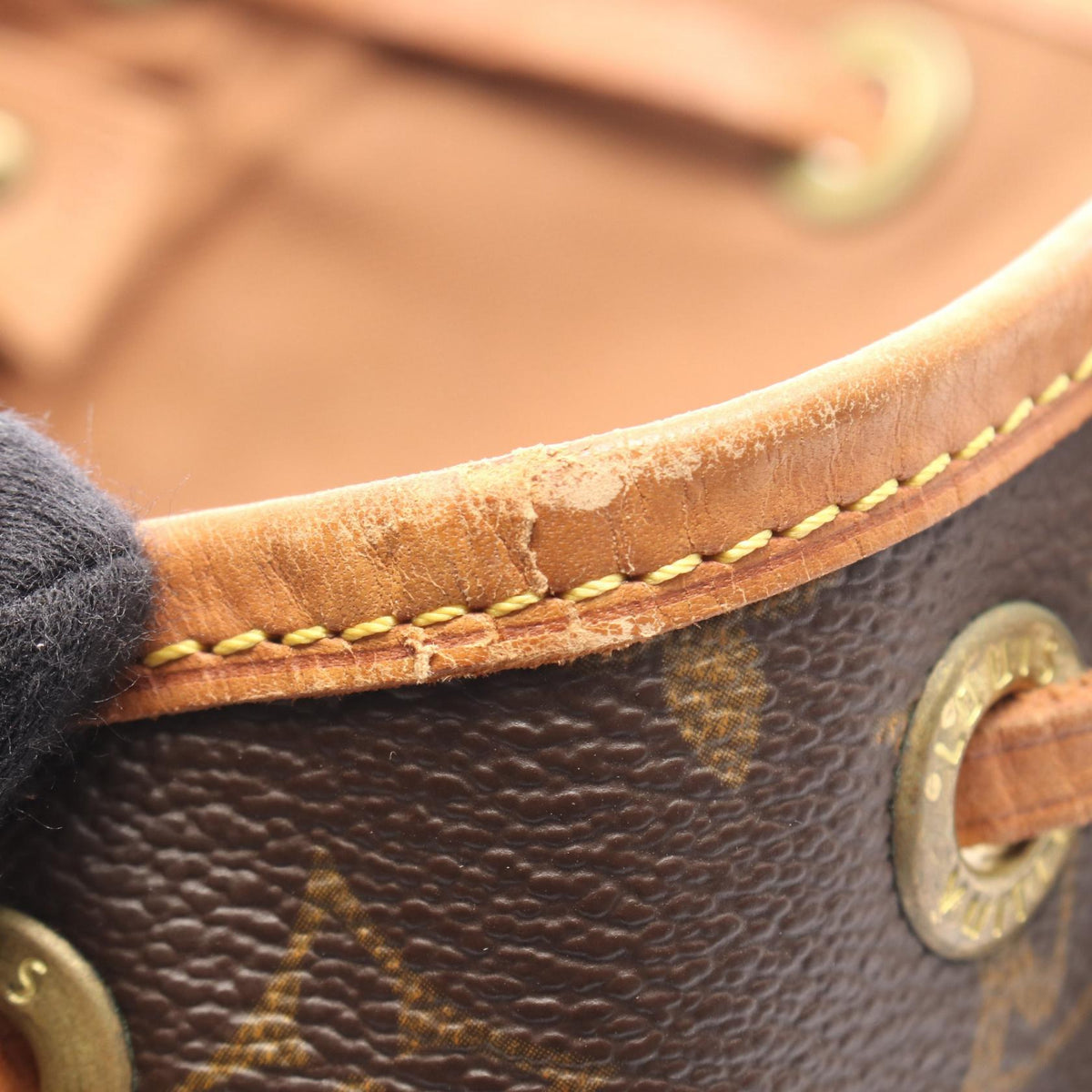 Louis Vuitton Montsouris MM · Monogram