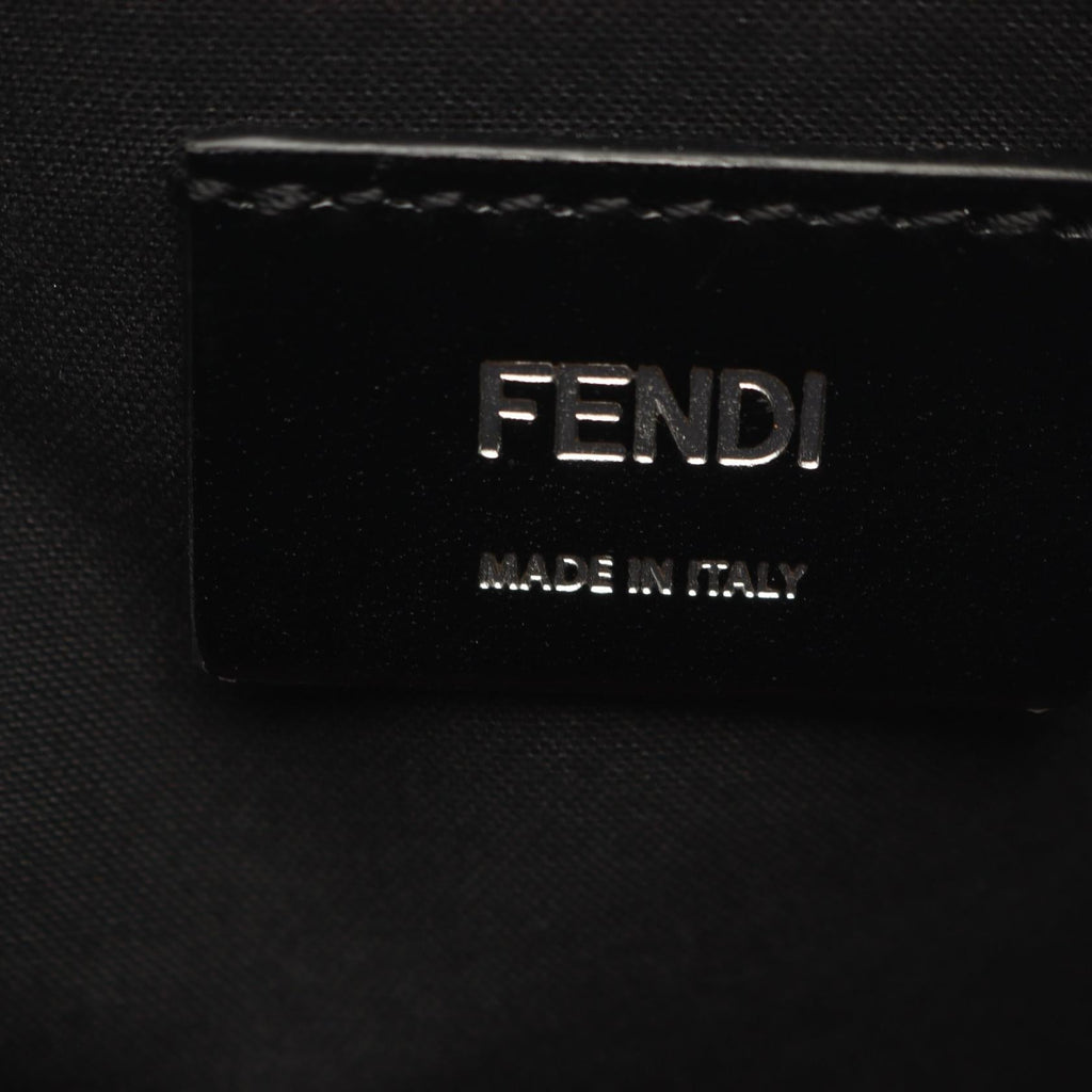 Fendi Zucca · Diagonal Camera Crossbody