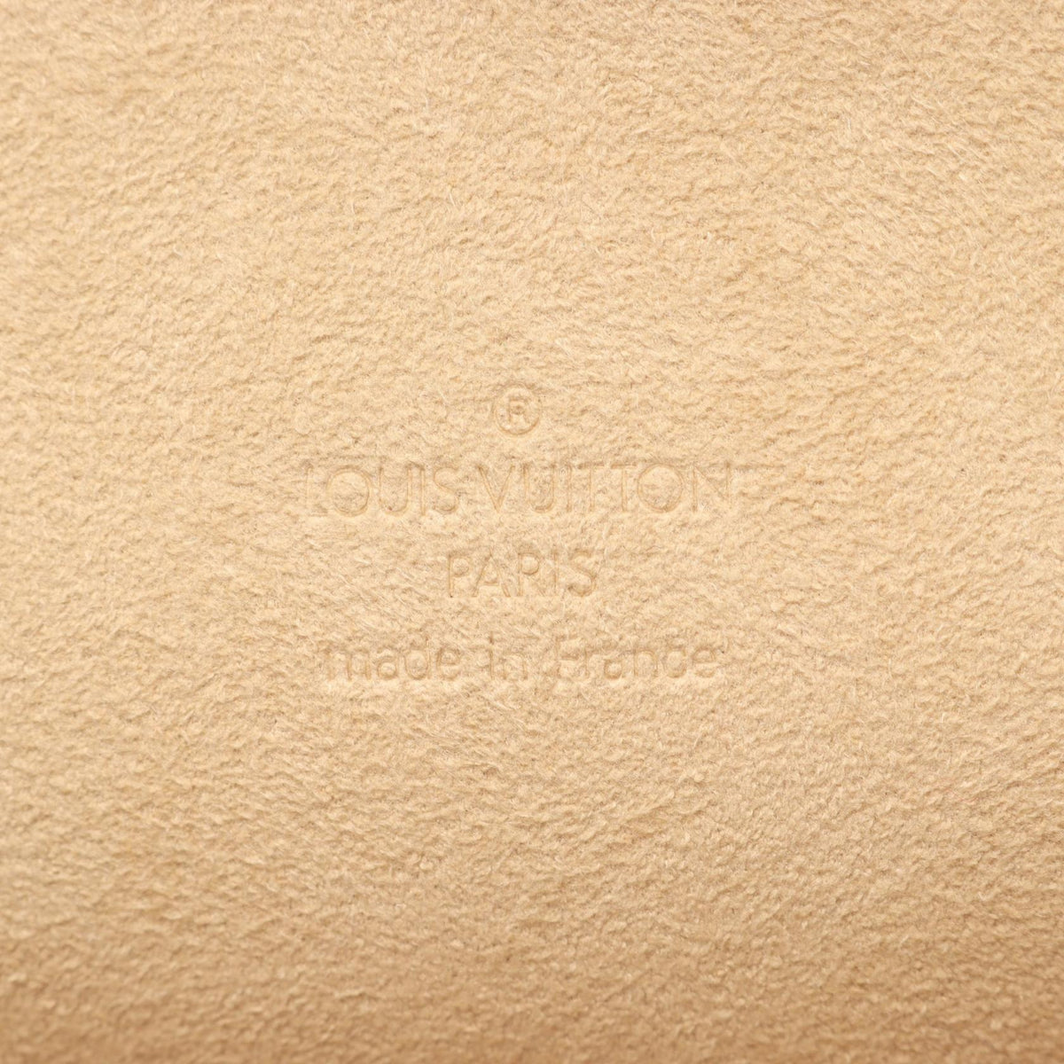 Louis Vuitton Florentine · Monogram Canvas