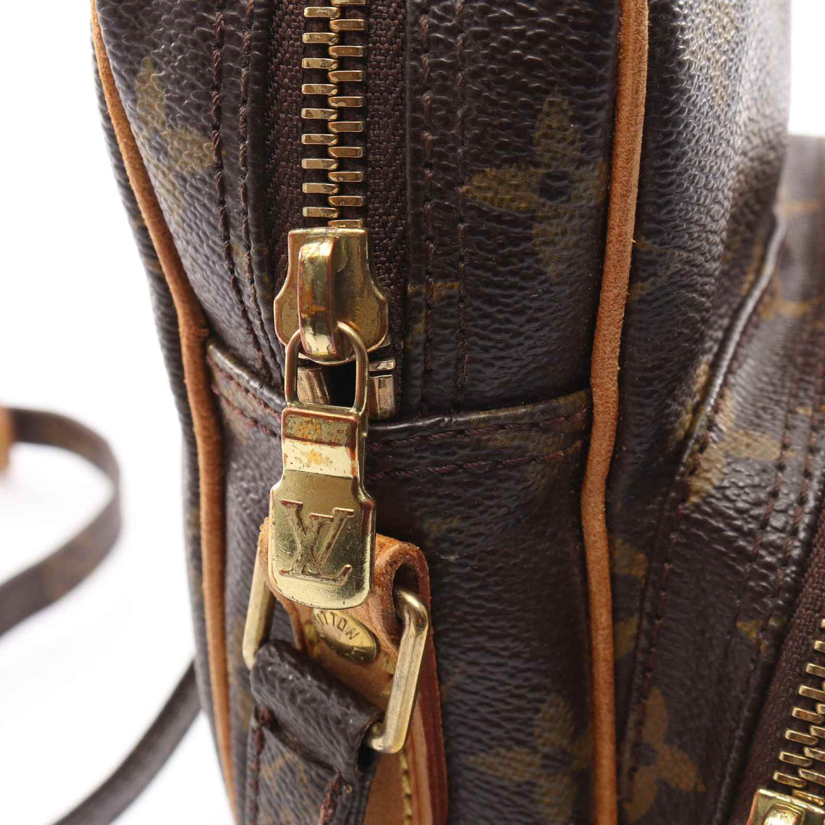 Louis Vuitton Amazon · Monogram Canvas
