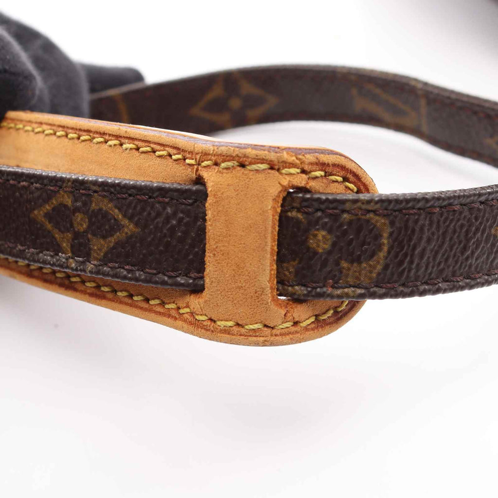 Louis Vuitton Amazon · Monogram Canvas