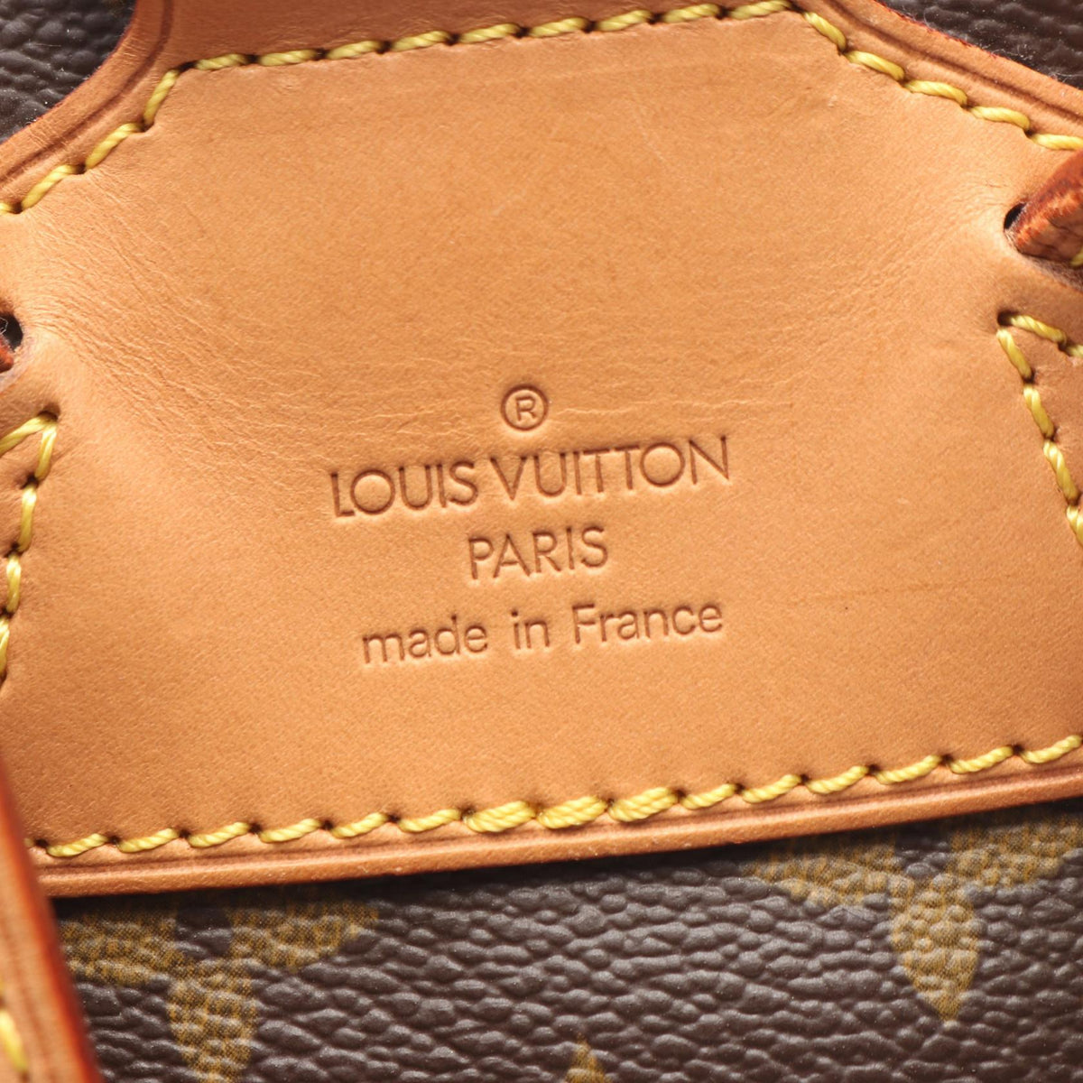 Louis Vuitton Montsouris MM · Monogram
