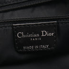 Dior Trotter · Nylon Canvas