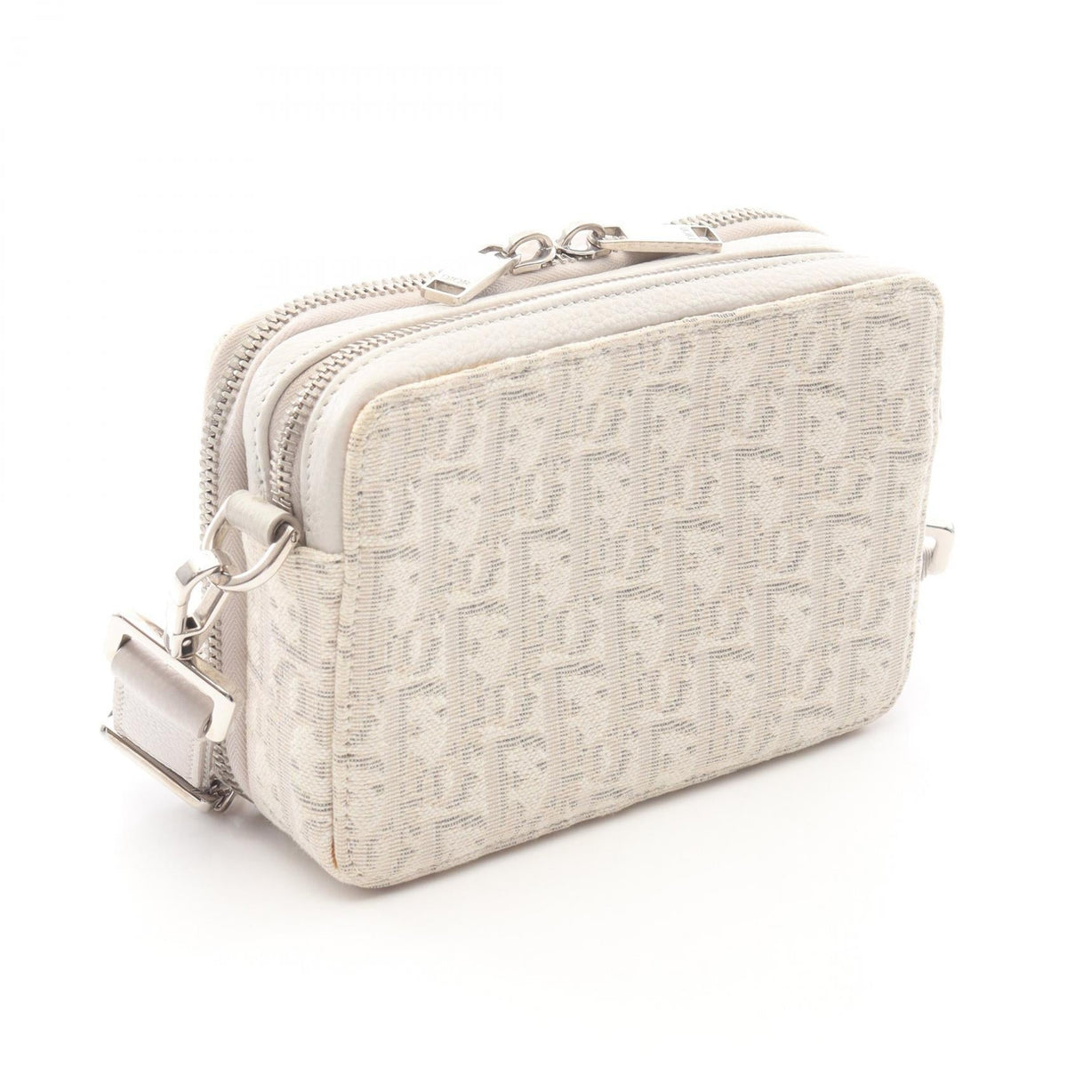 Christian Dior Oblique · Canvas