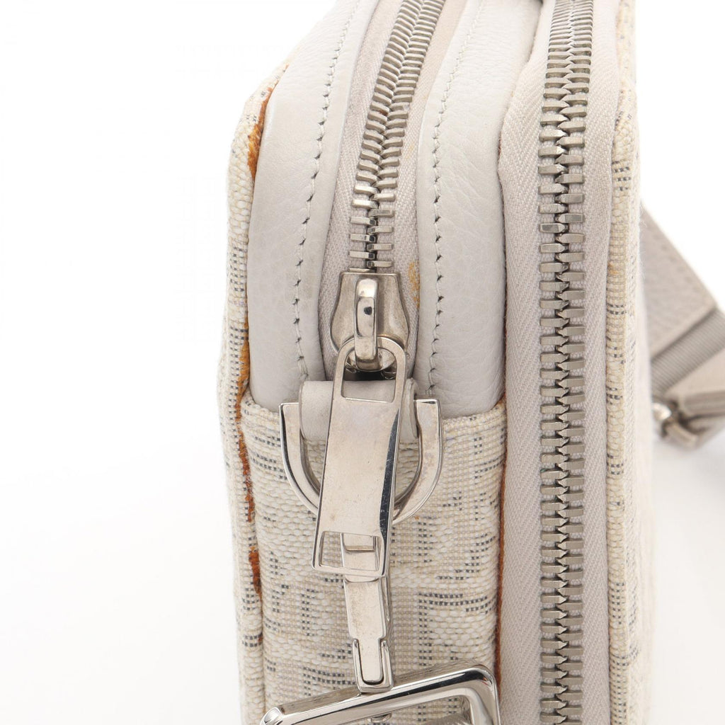 Christian Dior Oblique · Canvas