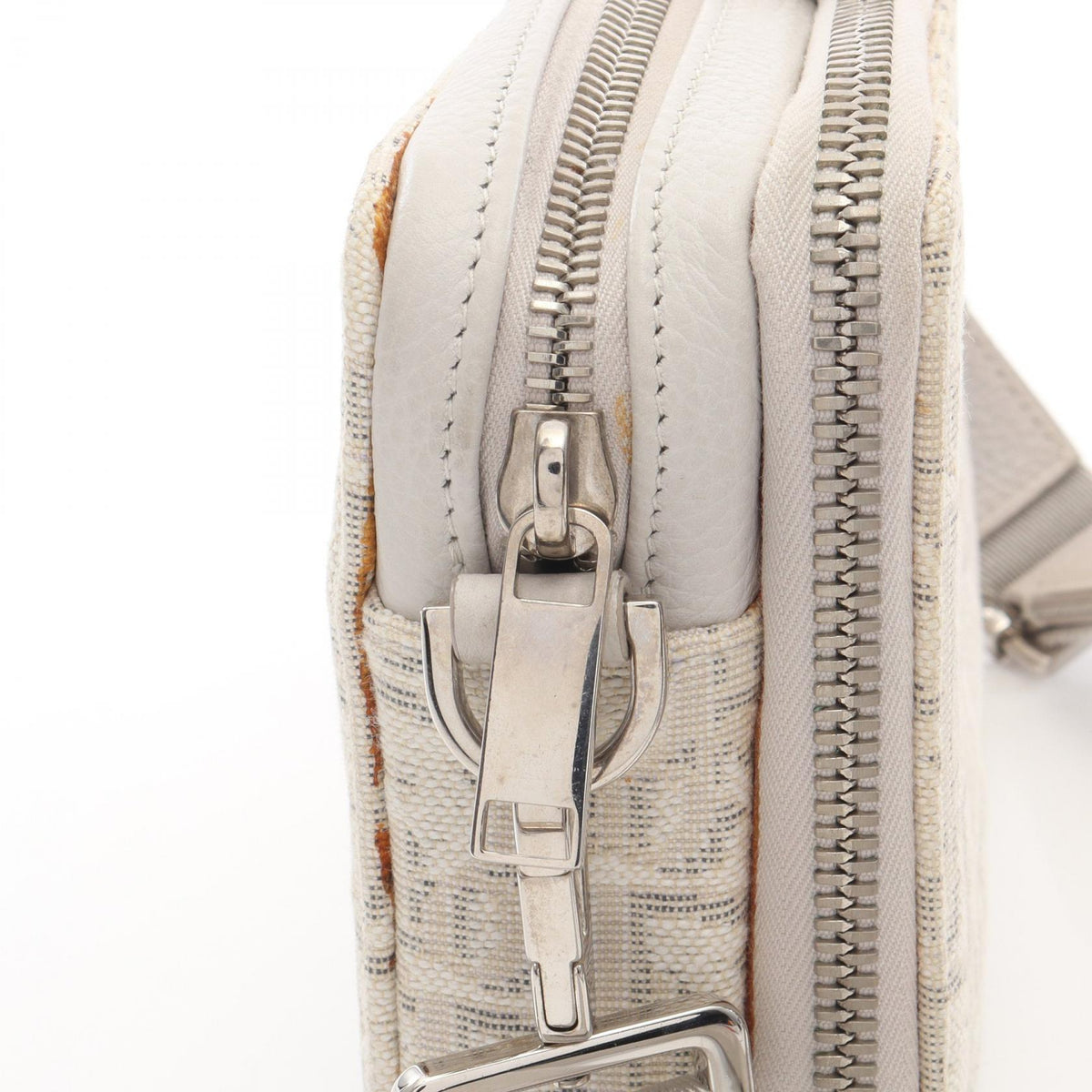 Christian Dior Oblique · Canvas