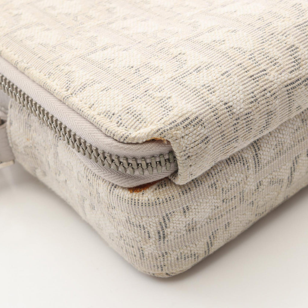 Christian Dior Oblique · Canvas