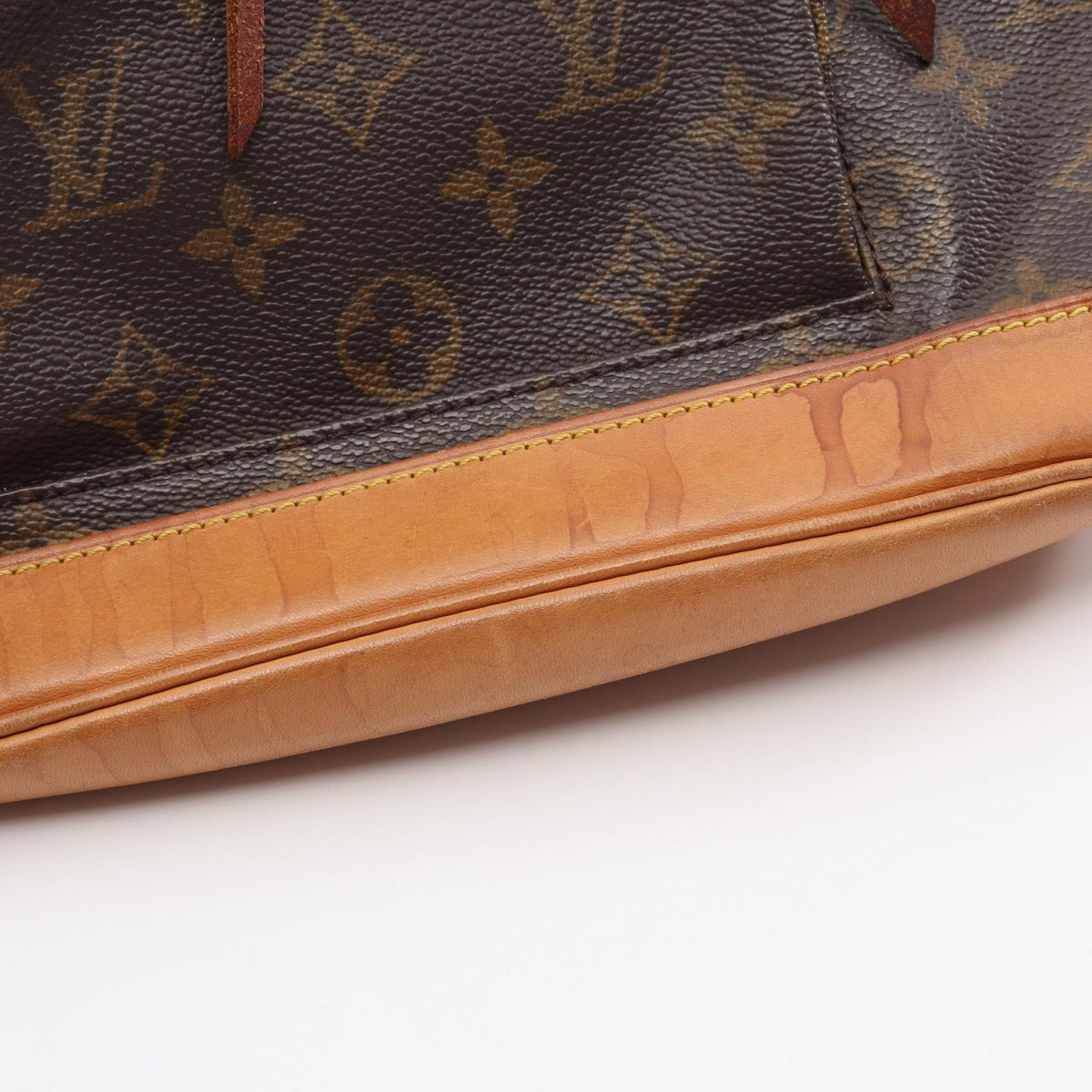 Louis Vuitton Montsouris MM · Monogram Canvas
