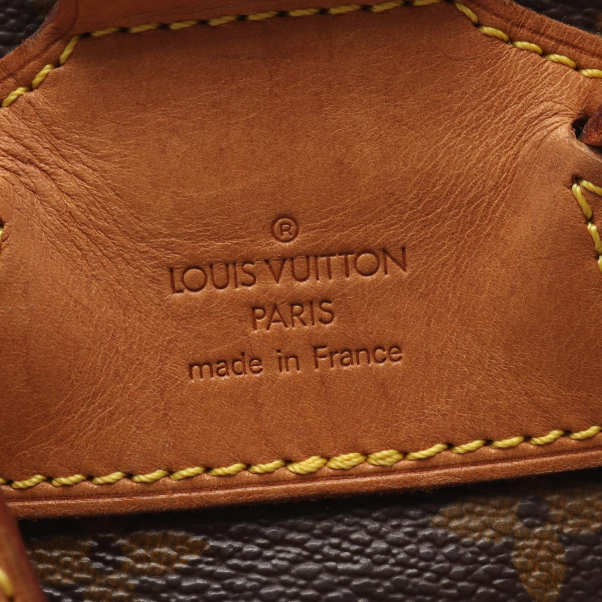 Louis Vuitton Montsouris MM · Monogram Canvas