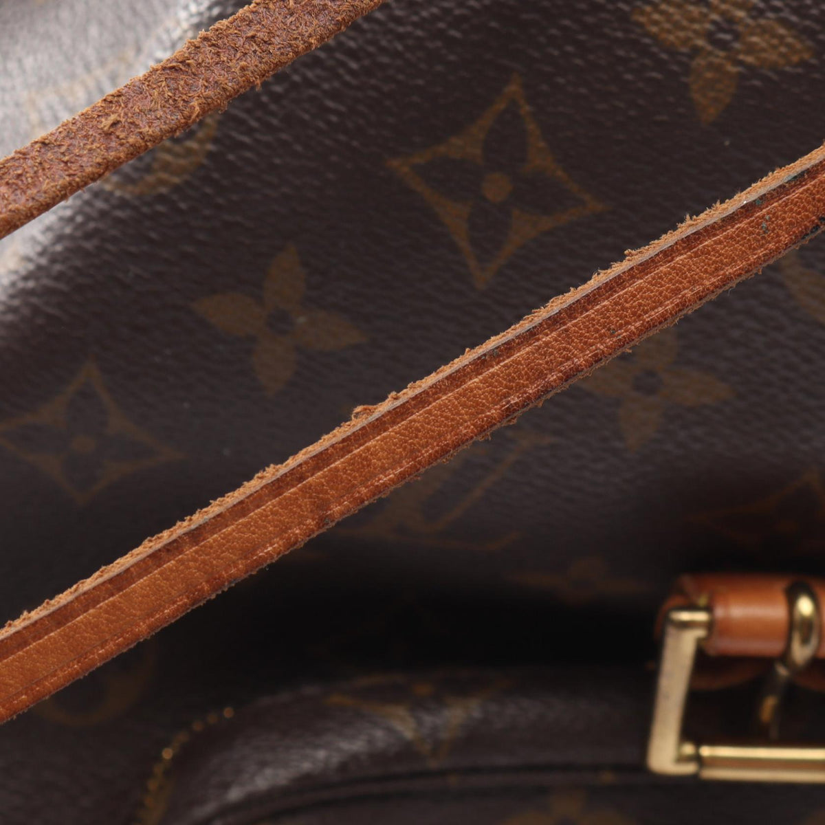 Louis Vuitton Montsouris MM · Monogram Canvas