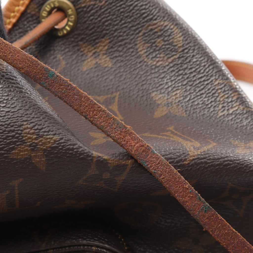 Louis Vuitton Montsouris MM · Monogram Canvas