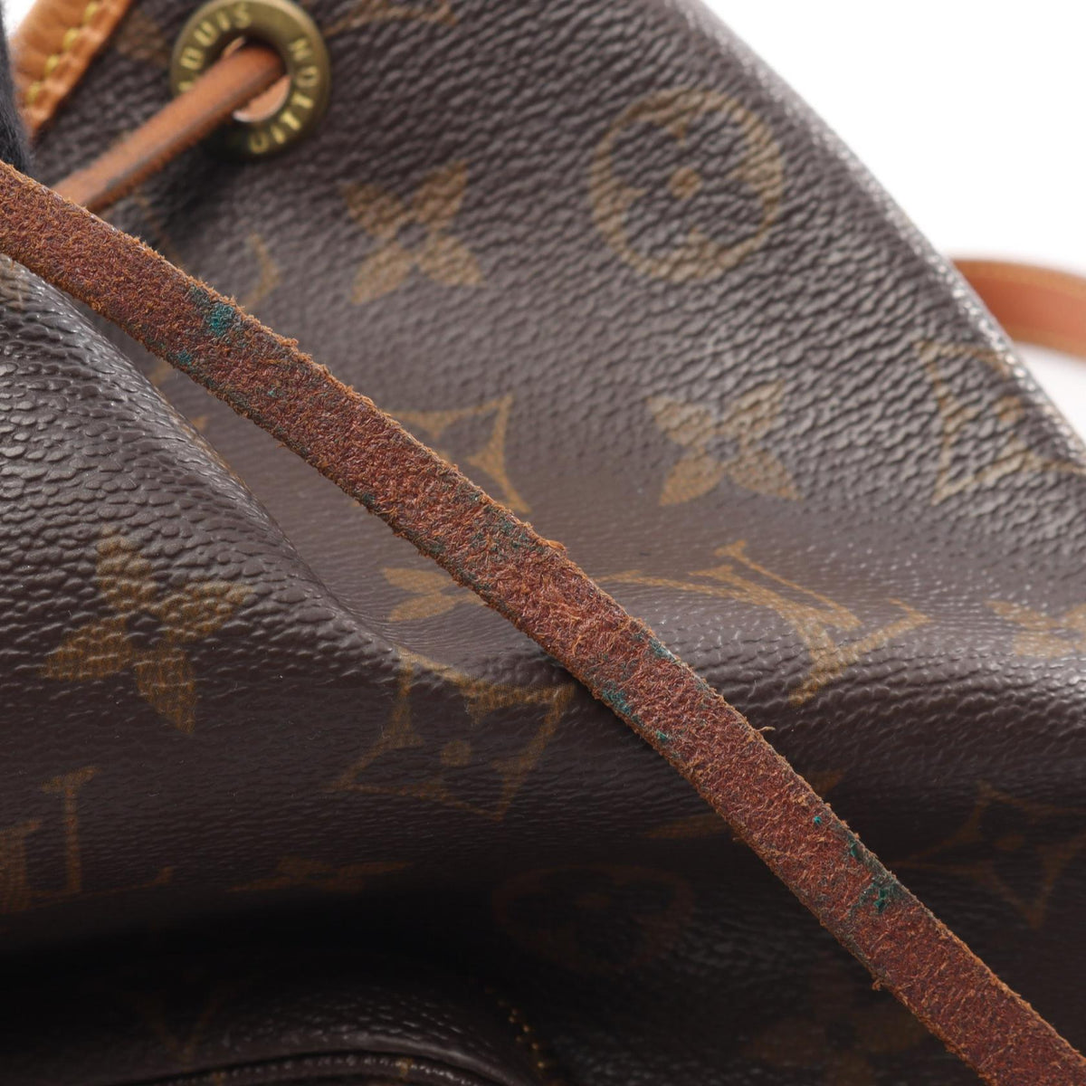 Louis Vuitton Montsouris MM · Monogram Canvas