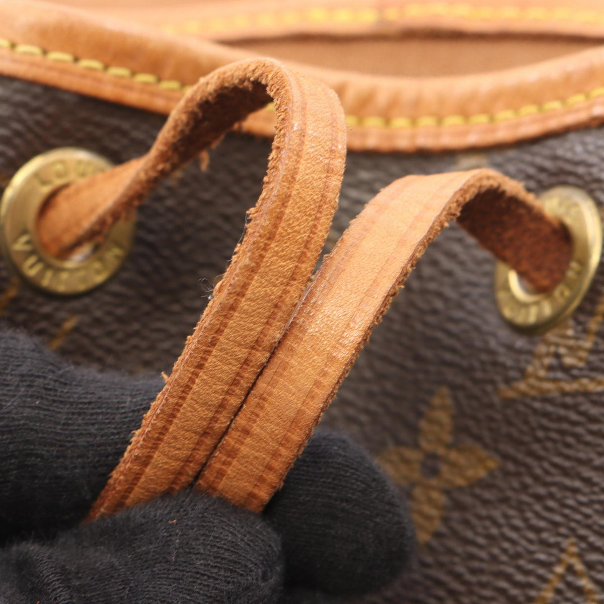 Louis Vuitton Montsouris MM · Monogram Canvas