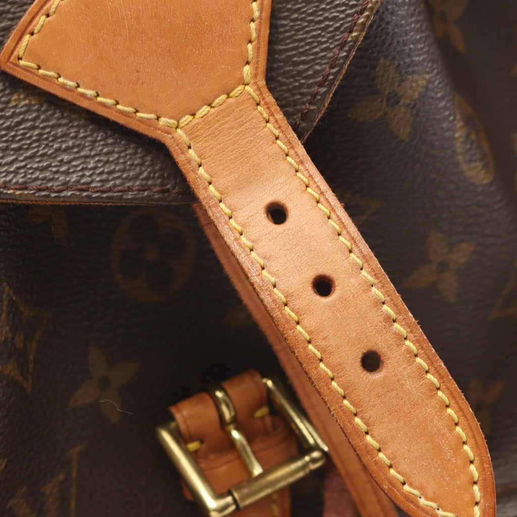 Louis Vuitton Montsouris MM · Monogram Canvas