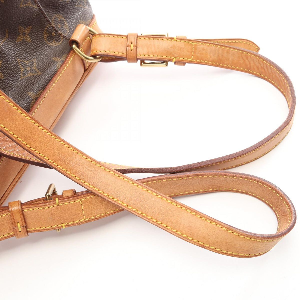 Louis Vuitton Montsouris MM · Monogram Canvas