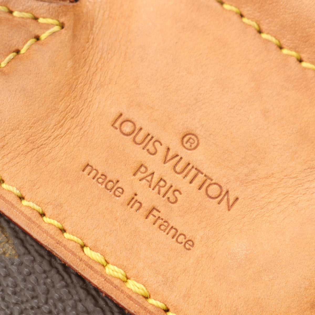 Louis Vuitton Montsouris MM · Monogram Canvas