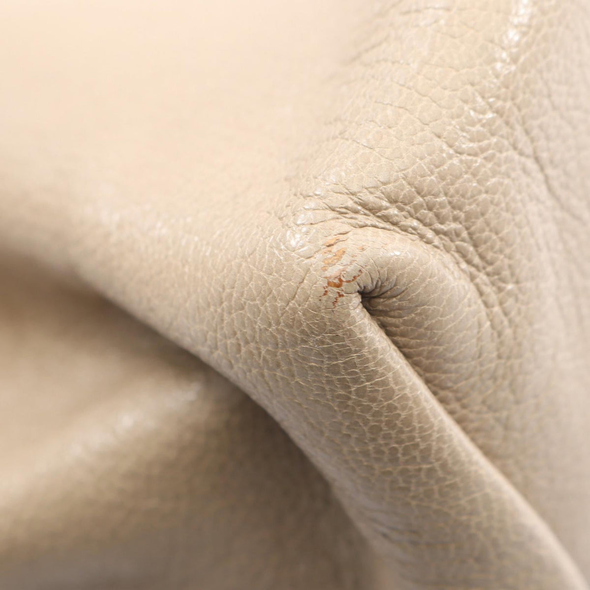 Bottega Veneta Intrecciato · Tote