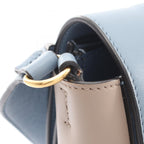 Celine Frame Medium · Bicolor Leather