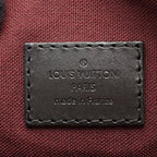 Louis Vuitton Torres PM · Monogram Macassar