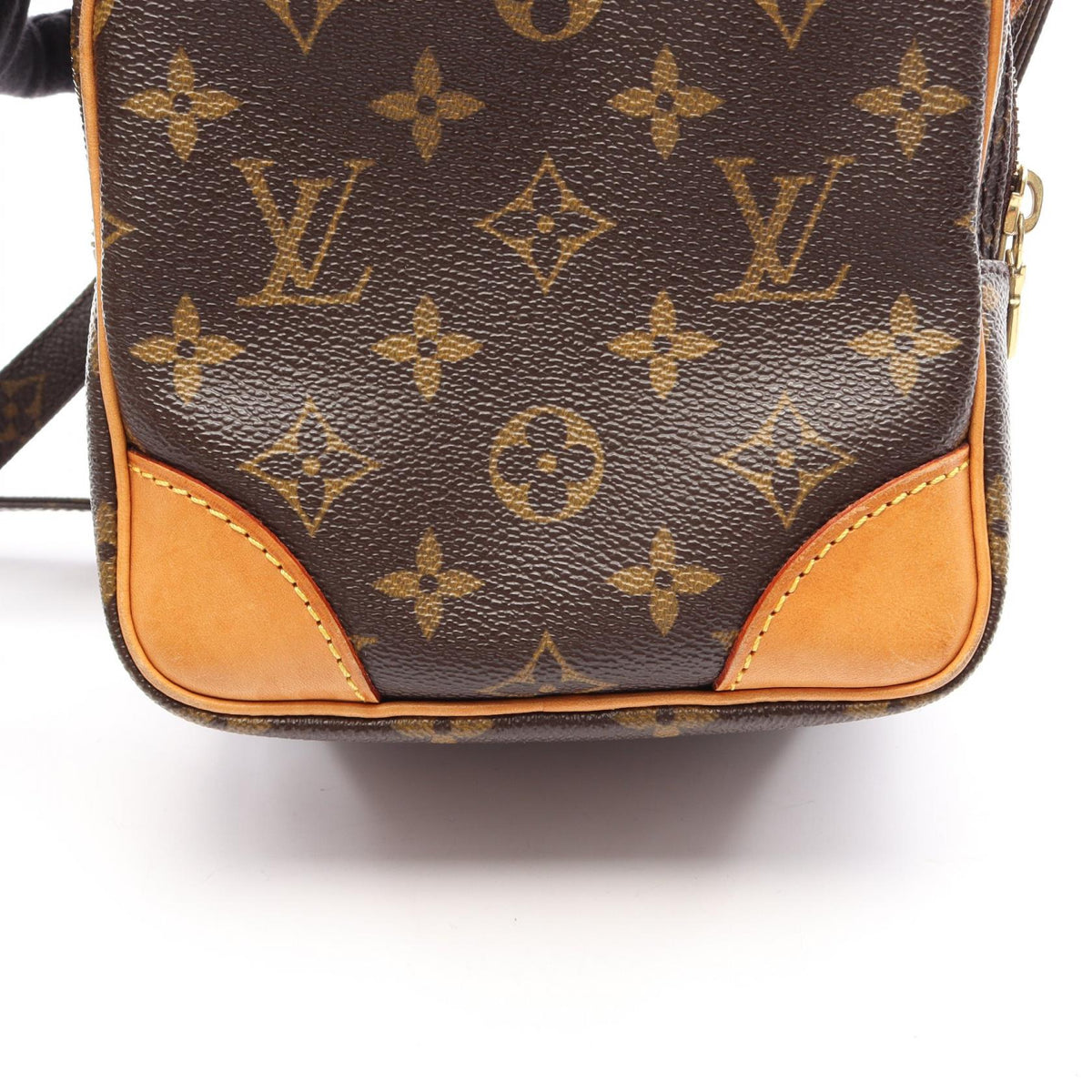 Louis Vuitton Amazon · Monogram Canvas
