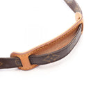 Louis Vuitton Amazon · Monogram Canvas