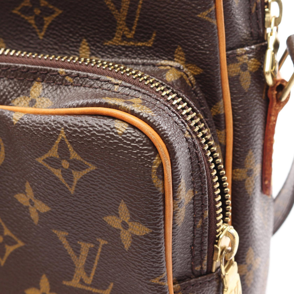 Louis Vuitton Amazon · Monogram Canvas