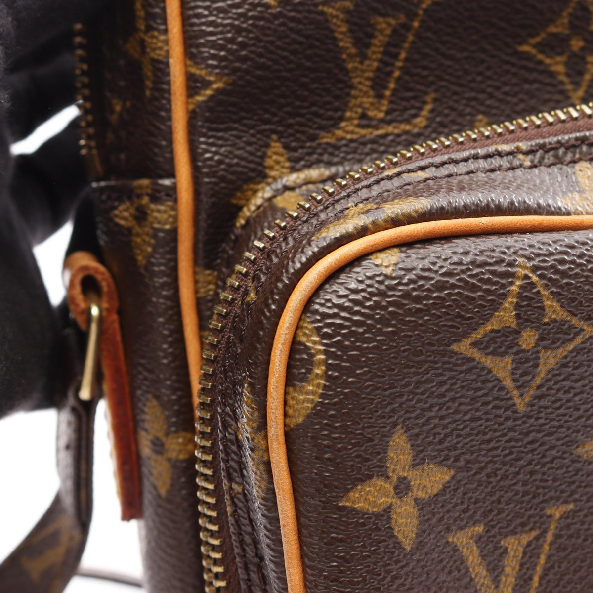 Louis Vuitton Amazon · Monogram Canvas