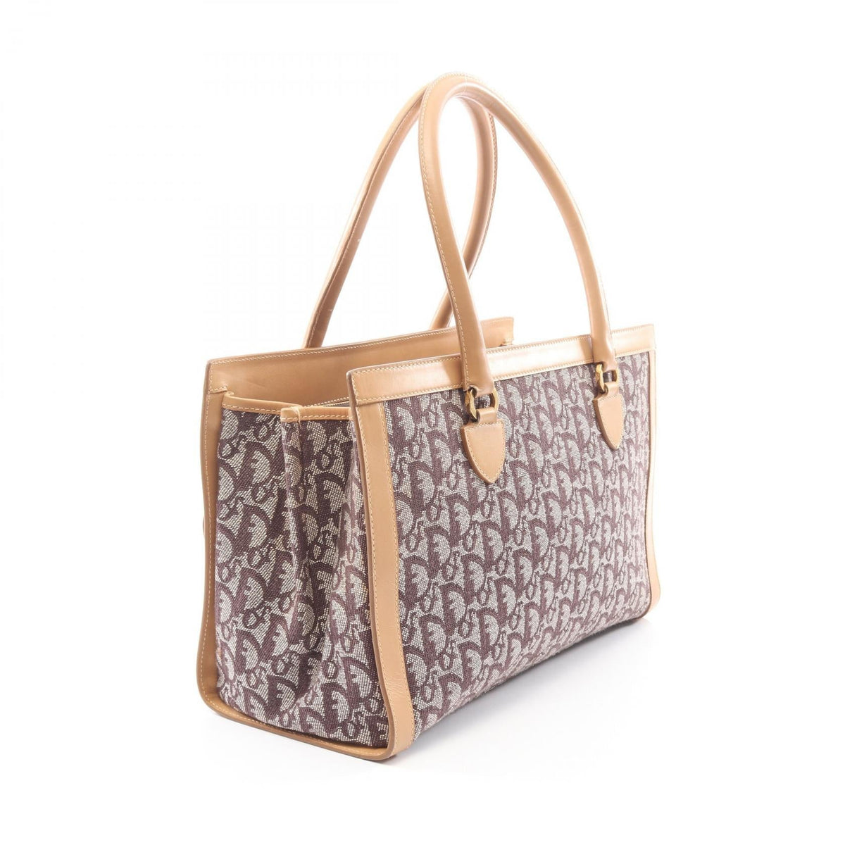 Dior Trotter · Canvas Tote