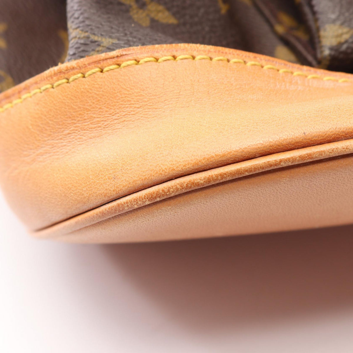 Louis Vuitton Montsouris GM · Monogram